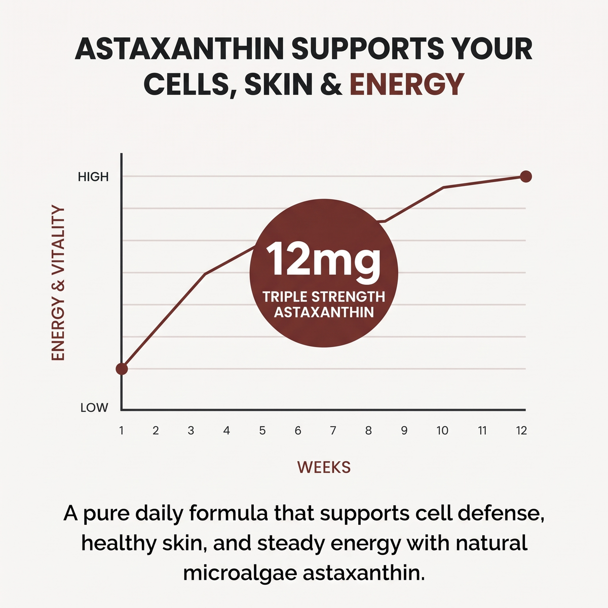 FYNE Astaxanthin - Nature’s Most Powerful Antioxidant for Whole Body Support & Cellular Protection