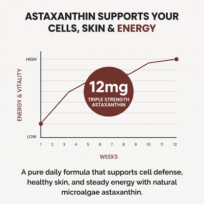 FYNE Astaxanthin - Nature’s Most Powerful Antioxidant for Whole Body Support & Cellular Protection